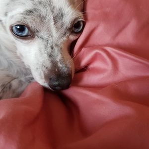 Meet your Posher, Aida